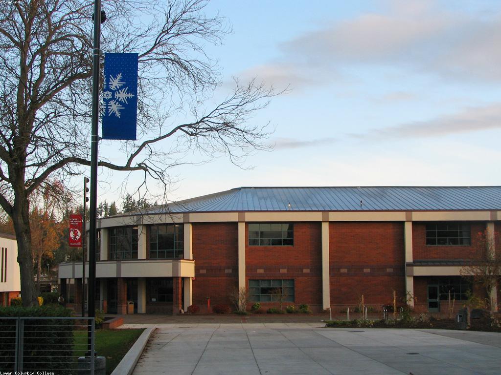 គំនិតថ្មីៗសម្រាប់ស្លាបព្រិលអនឡាញ