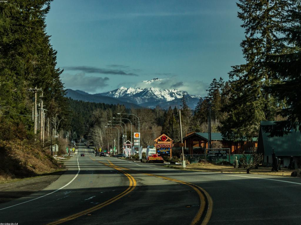 យុទ្ធសាស្ត្រសម្រាប់ការលេងស្លាបព្រិលអនឡាញ
