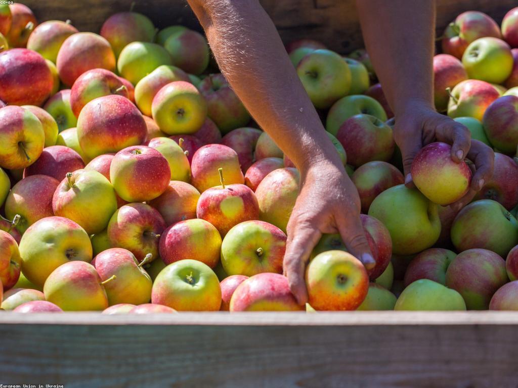 អំណះអំណាងនៃបច្ចេកវិទ្យាថ្មីដើម្បីអាជីវកម្ម