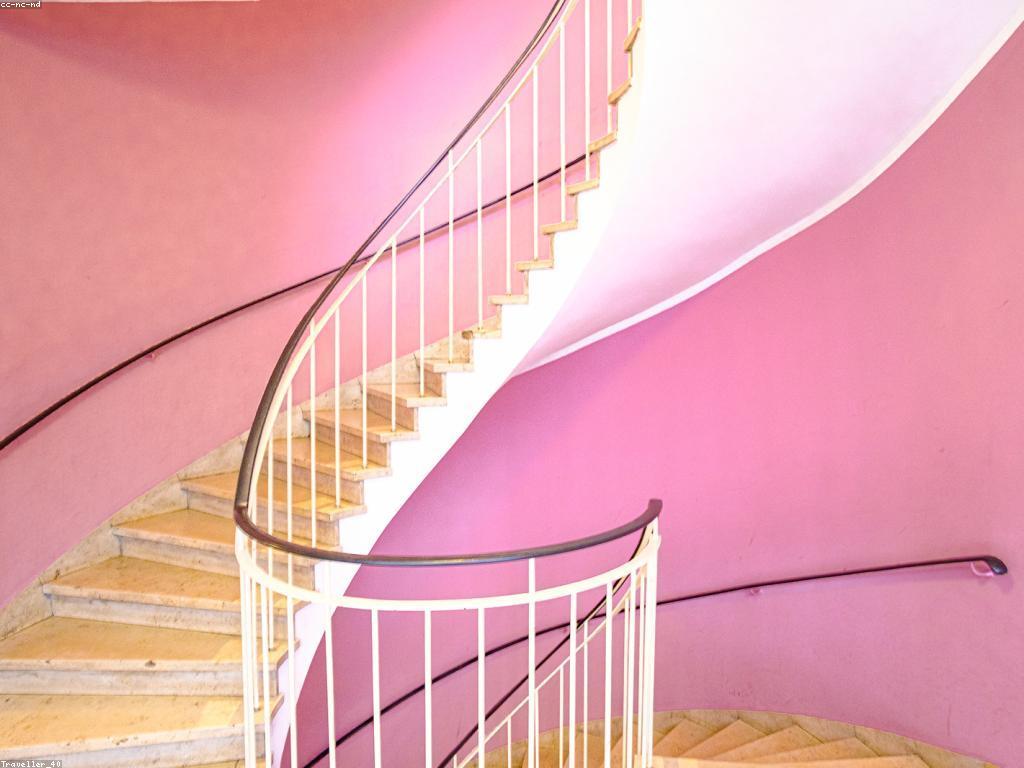 យុទ្ធសាស្ត្រច្នៃប្រឌិតសម្រាប់ស្លាបព្រិលអនឡាញ