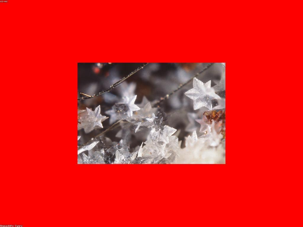 ការបង្កើតនិងការប្រើប្រាស់ស្លាបព្រិលអនឡាញ: និទានថ្មីនៃស្នាដៃ