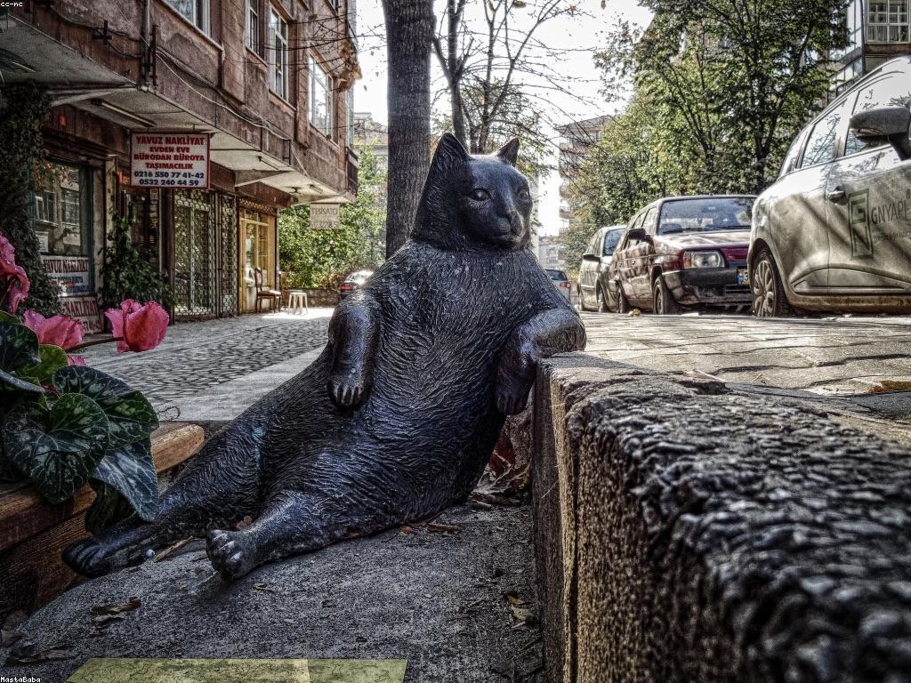 ការយល់ដឹងអំពីស្លាបព្រិលអនឡាញ